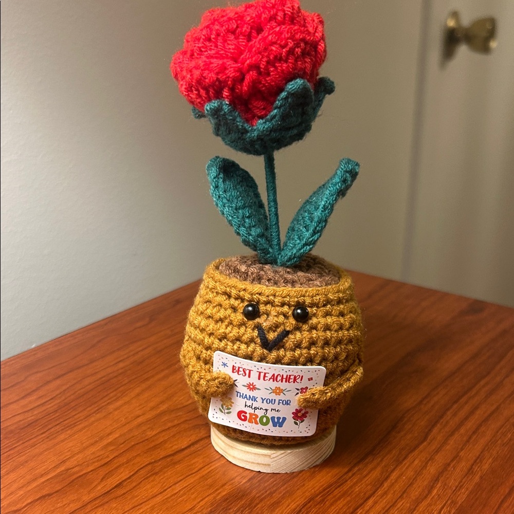 Handcrafted Crochet Flower Pot Decor
